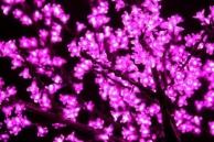 Напольный светильник Дерево " Сакура ", фиолетовый D=1,8m, H=1,5m 864 диода