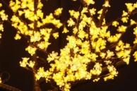 Напольный светильник Дерево " Сакура ", желтый D=1,8m, H=1,5m 864 диода