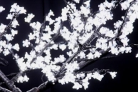 Напольный светильник Дерево " Сакура ", белый D=1,8m, H=1,5m 864 диода