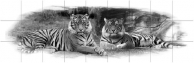 Глянцевая пристеночная панель (Фартук), Акватон - Серия "Тигры"